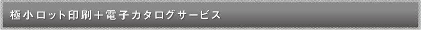 極小ロット印刷+電子カタログサービス